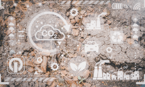 Digitalizzazione e sostenibilità: il punto di partenza di un percorso operativo